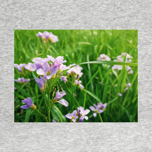 spring flowers meadow by psychoshadow